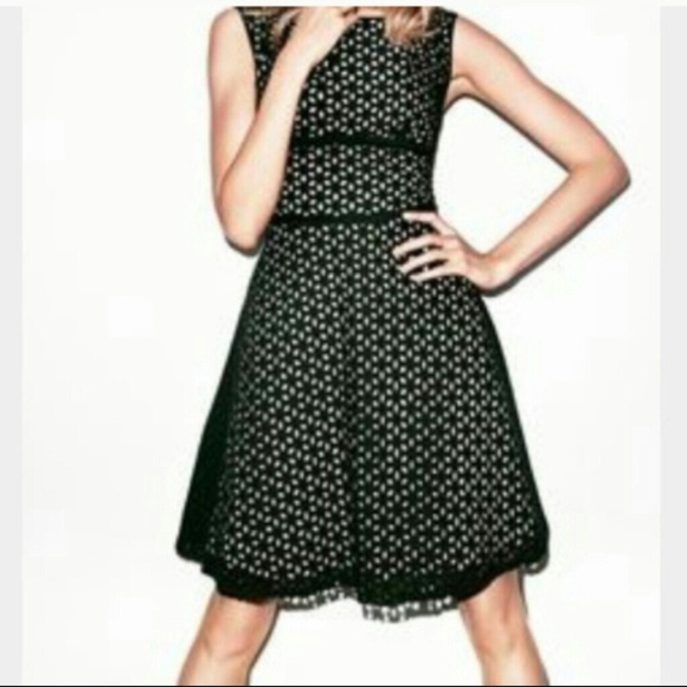 Loft Eyelet Dress